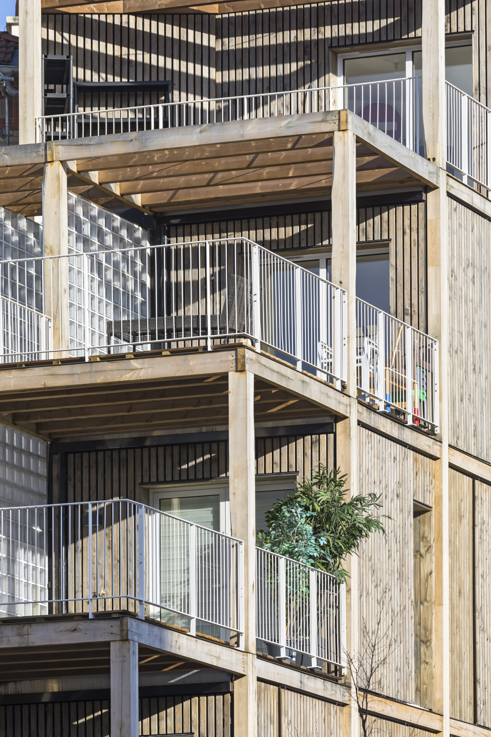 graam-carnot-photo-sergio-grazia-montreuil