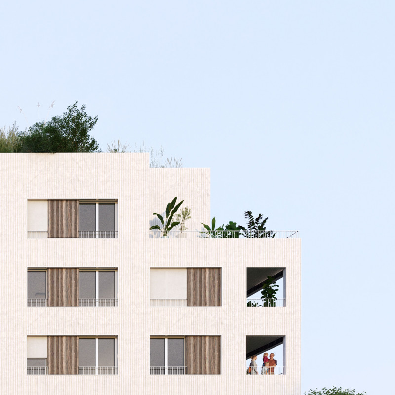 graam-saint-martin-du-touch-00-toulouse-logements-bois-passerelle-bassin